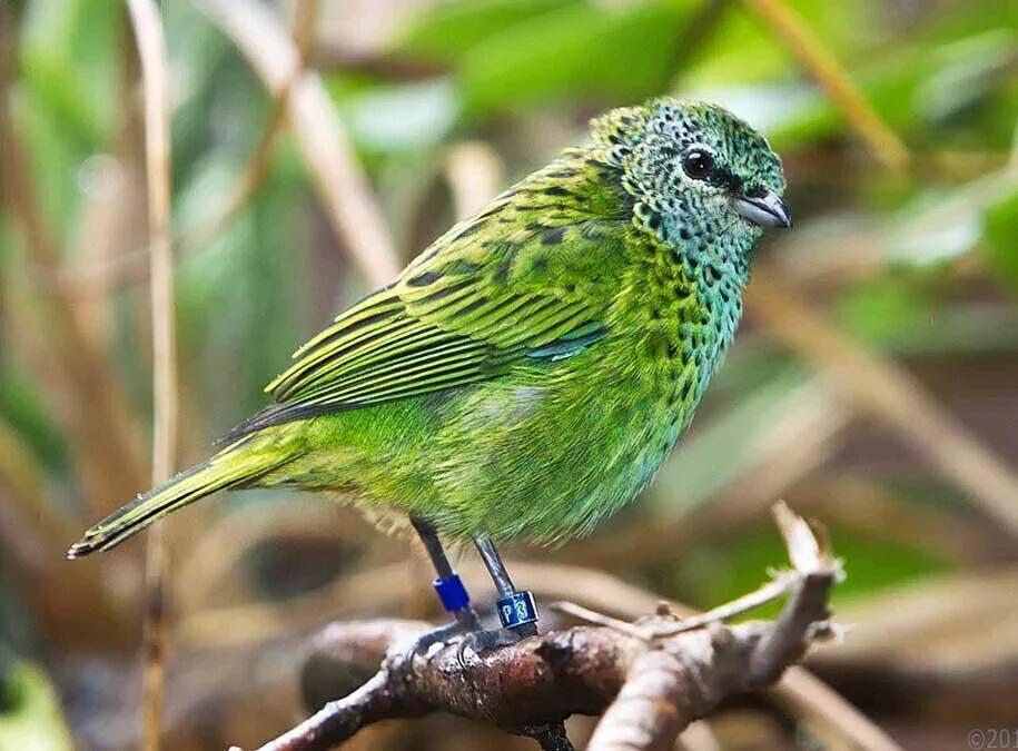 Cq1H8-XUIAABgIc.jpg:large