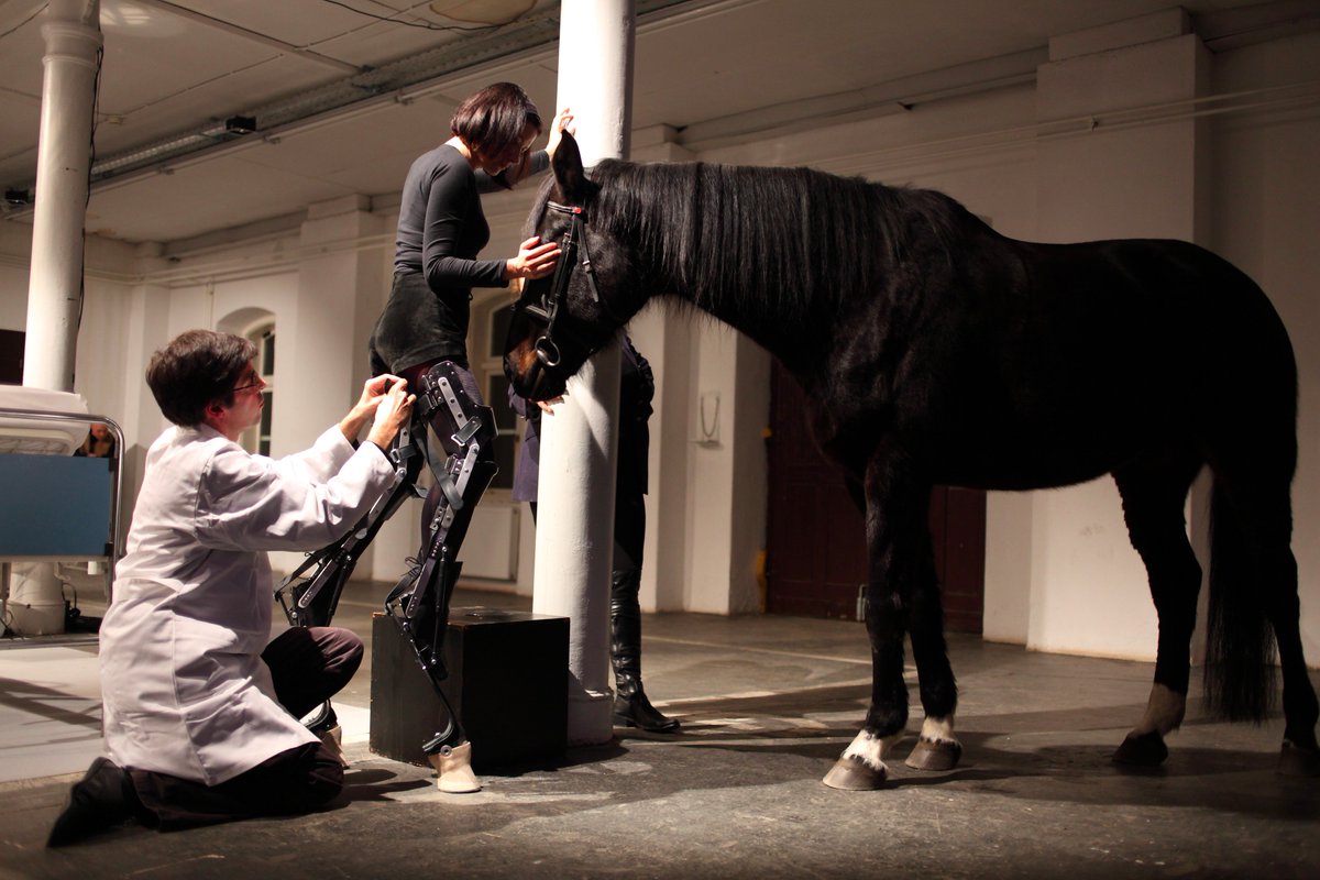 SalamancaArtsCentre tweet media