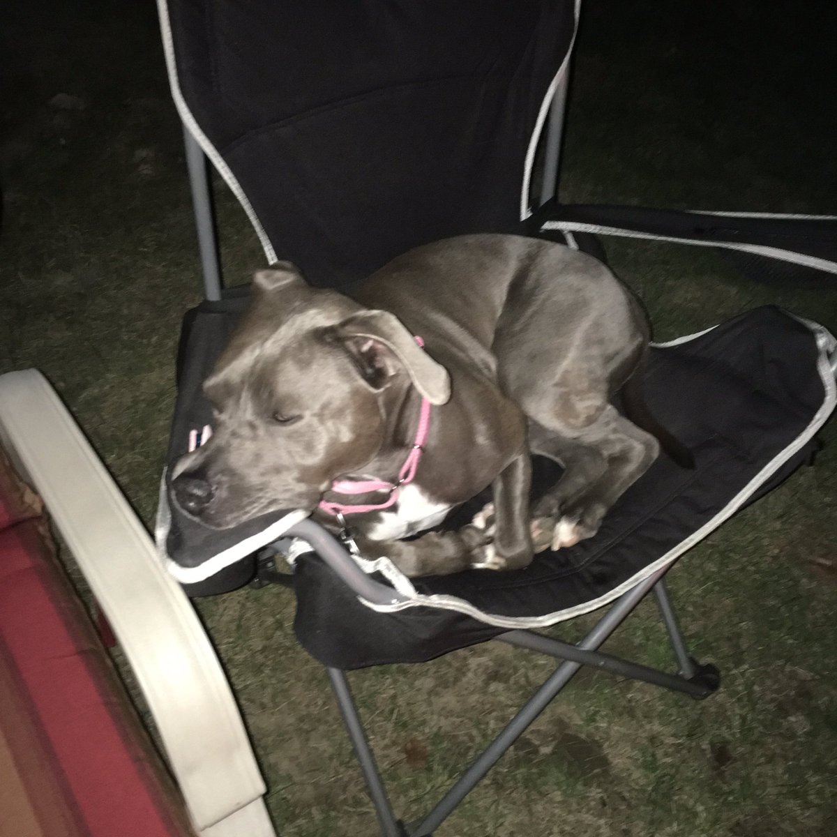 Only Maggie needs her own chair by the bonfire. 😂 #SpoiledMuch