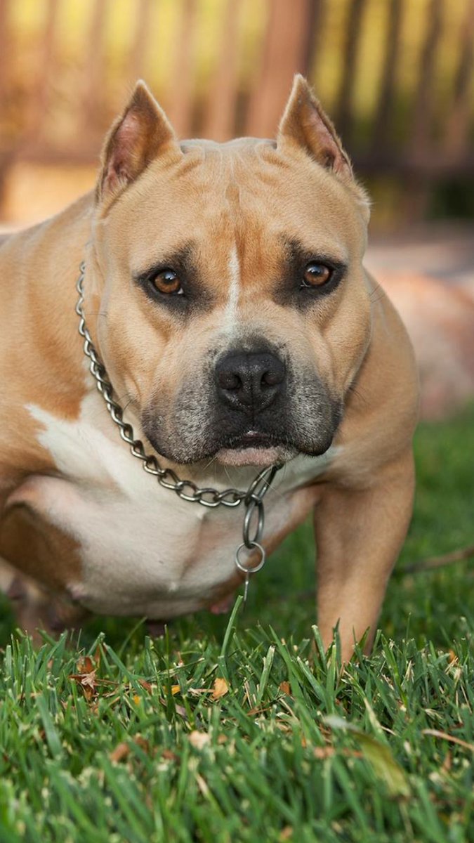 kevhighroller's tweet image. 