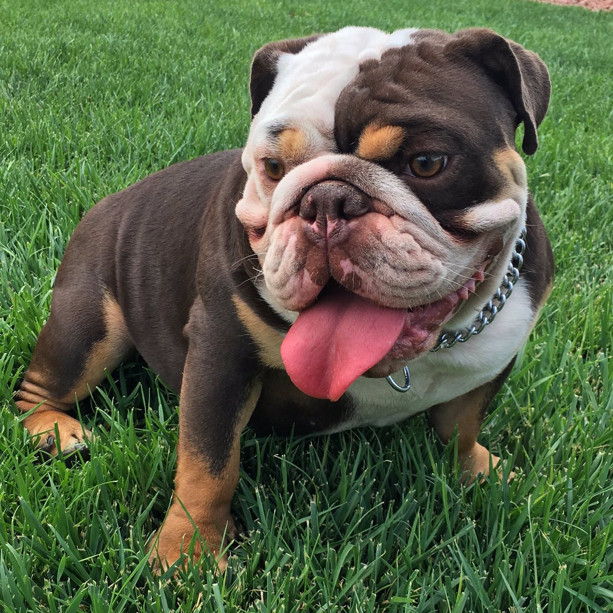 kevhighroller's tweet image. 