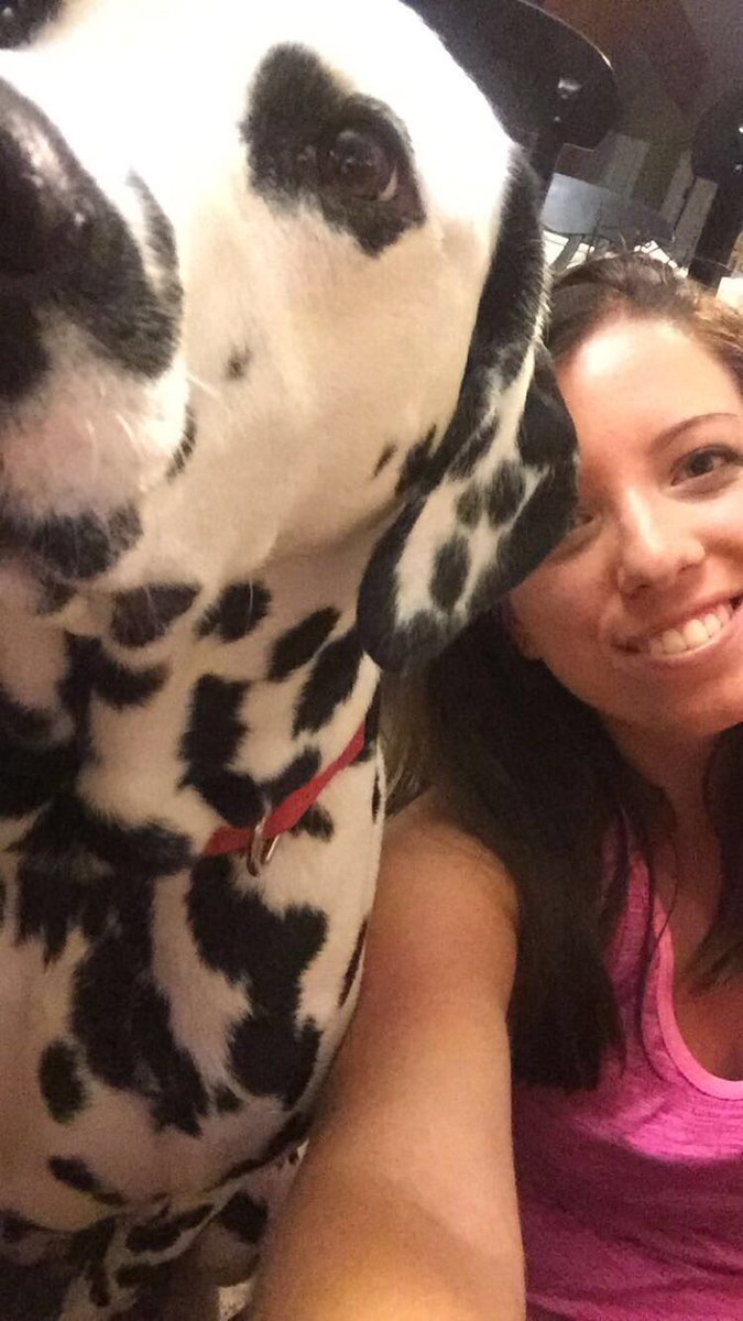 AllisonBKnouse's tweet photo. Happy #NationalDogDay from me and my best friend 🐶 https://t.co/ZPP2wwmVWD