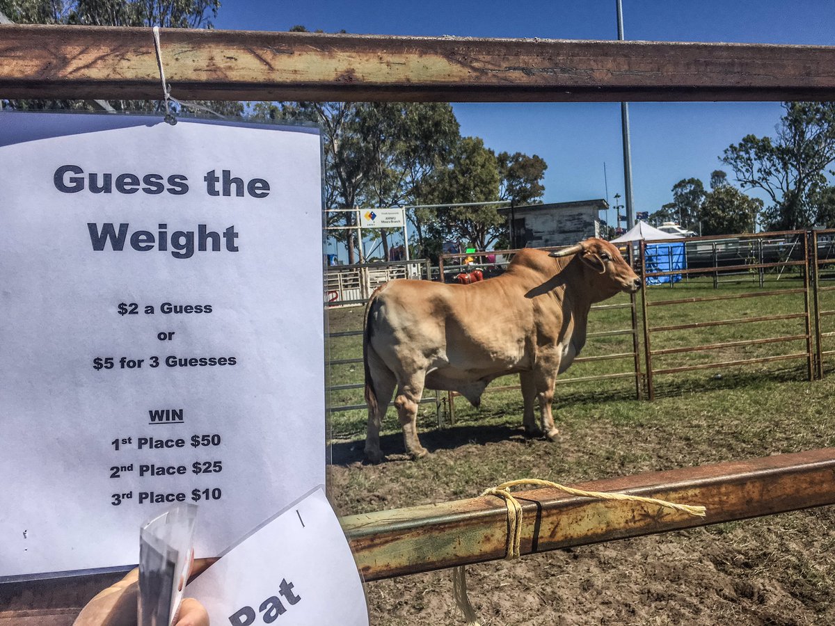 Meet Earl. Guess the weight of this 9 year old steer. #MCCbeef