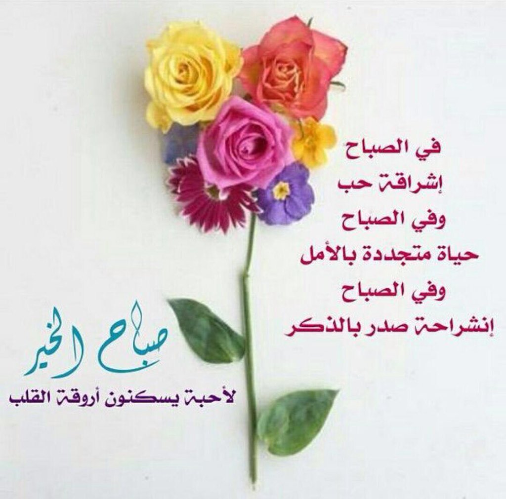 umfaisll's tweet photo. https://t.co/z7dkqQVt6H