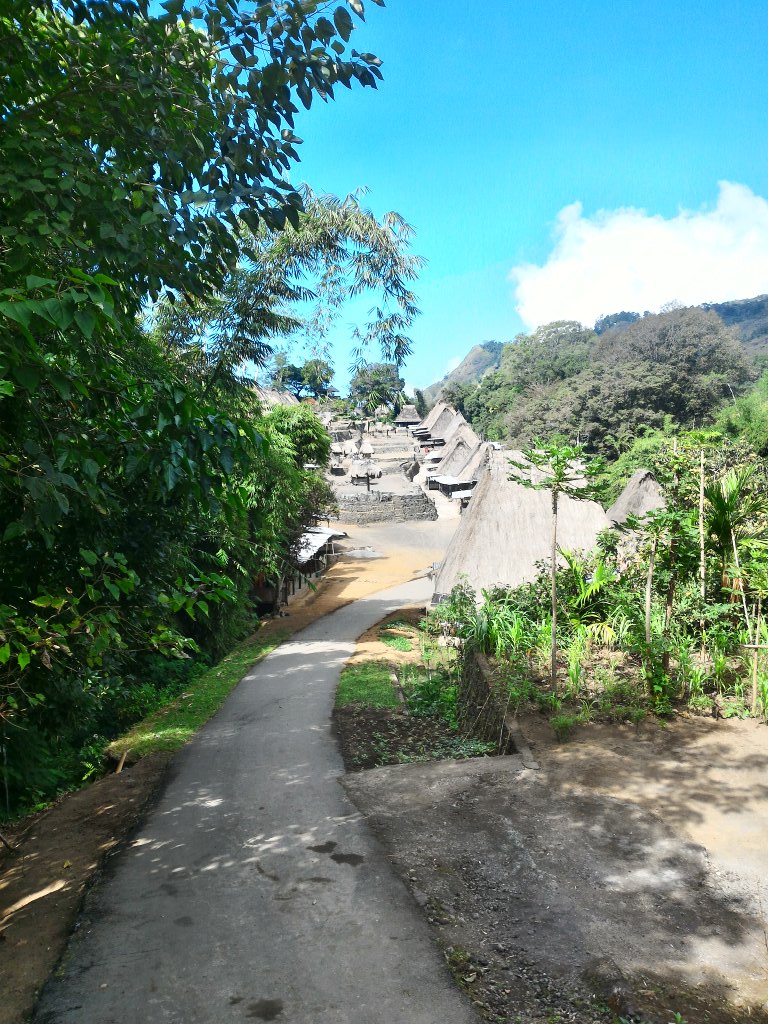 Riantofatan tweet picture