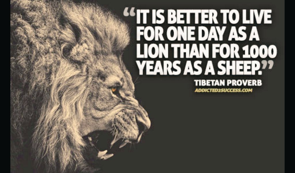 mah683RTMS17's tweet photo. #SeizeTheDay https://t.co/gI7lpsfXFm