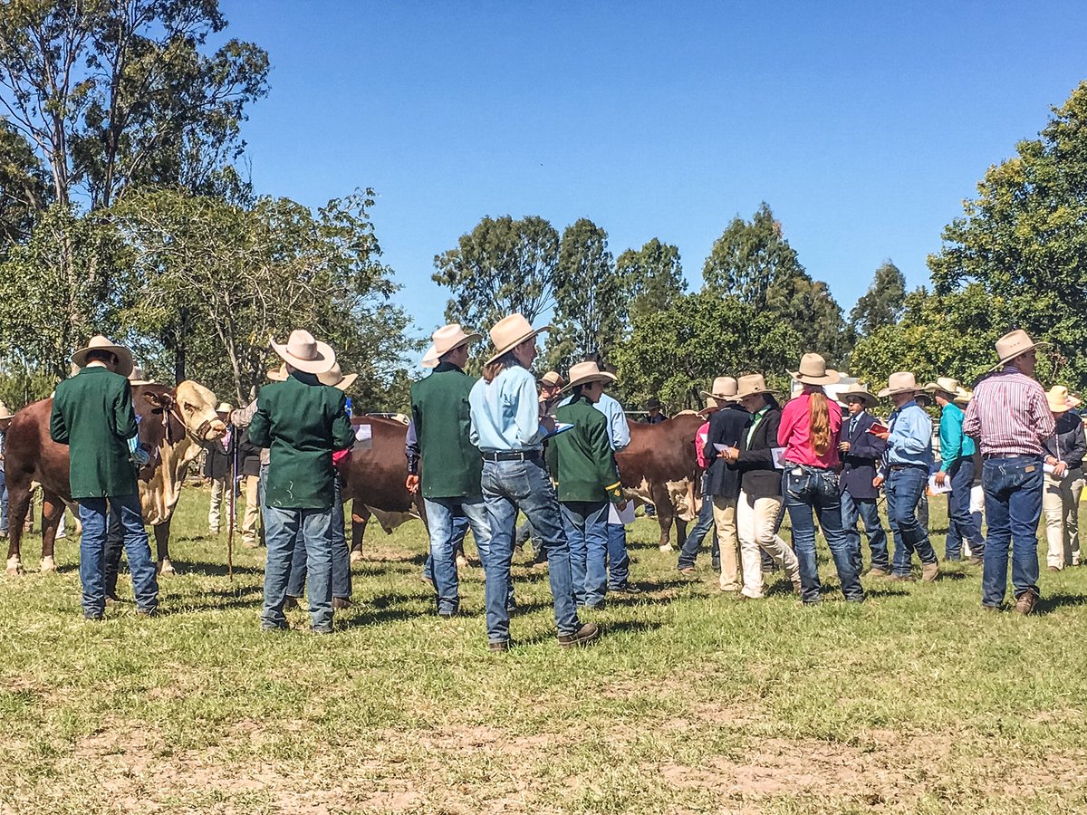 Hats galore as the junior judging takes place. Judges of the future. #MCCbeef