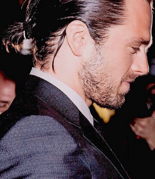 salishbear's tweet image. bless