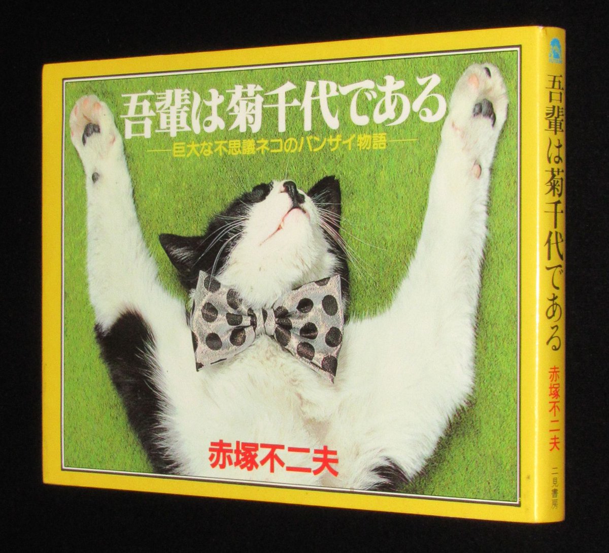 じゃんくまうす على تويتر 本日の一品は 赤塚不二夫 吾輩は菊千代である 昭和57年 T Co Vuredsghv7 巨大な不思議ネコのバンザイ物語 なんか 赤塚センセと菊千代に癒される な一品 本日の一品