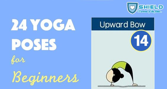 shieldawareness's tweet photo. Learn #yoga poses to keep your body fit. #shield https://t.co/VTOzQPJ51L