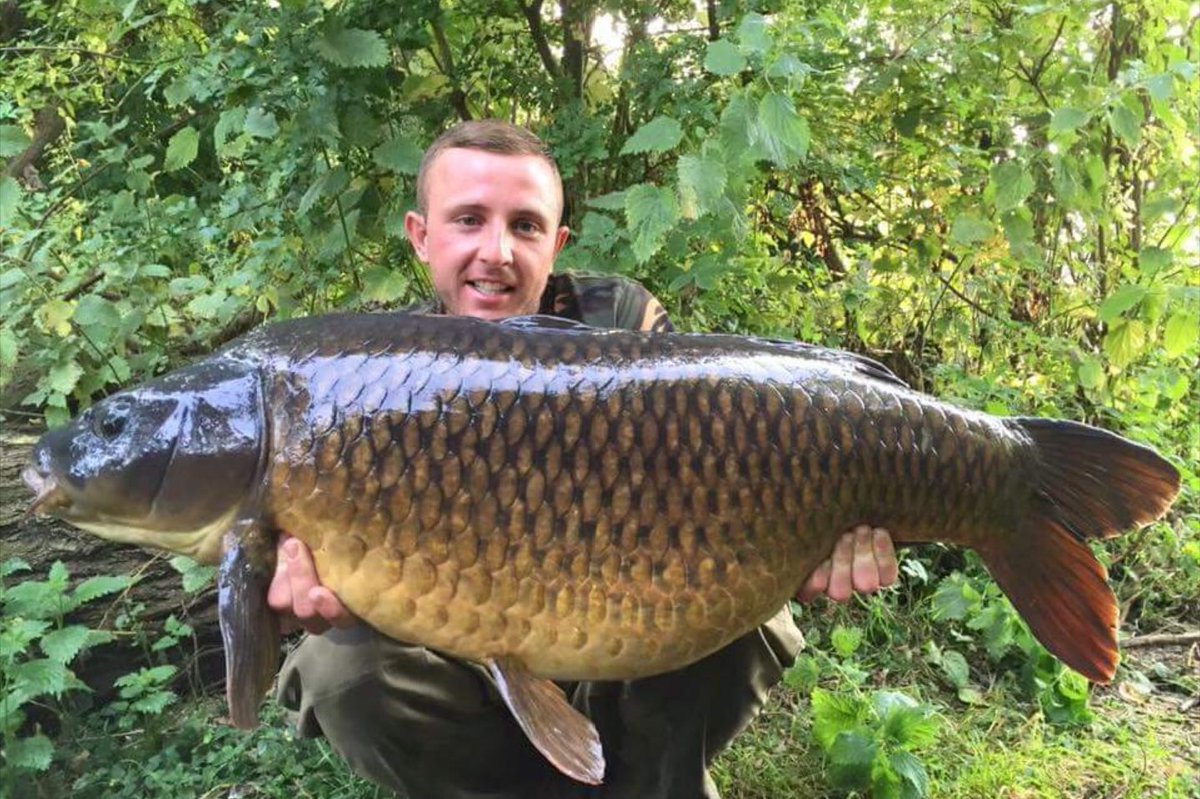 DusterBaits's tweet photo. Billy flowers bags a new UK pb common at 42.14 Duster baits nutrix particle helping him along the way @Carpwatch https://t.co/sD7AIunOIr