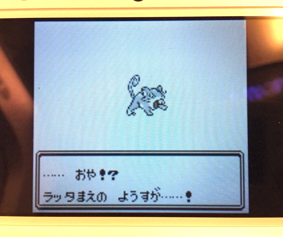 ありかちょポケモン図鑑 有野課長より 参ったな ラッタまえがラッタになってしまうと ハチ公前で待ち合わせが ハチ公待ち合わせ になってまうのと同じで えーっと 待ち合わせは出来るか 名前鑑定士の所連れて行くか ありかちょポケモン図鑑 有野課長より 参ったな ラッタまえがラッタになってしまうと ハチ公前で待ち合わせが ハチ公待ち合わせ になってまうのと同じで えーっと 待ち合わせは出来るか 名前鑑定士の所連れて行くか