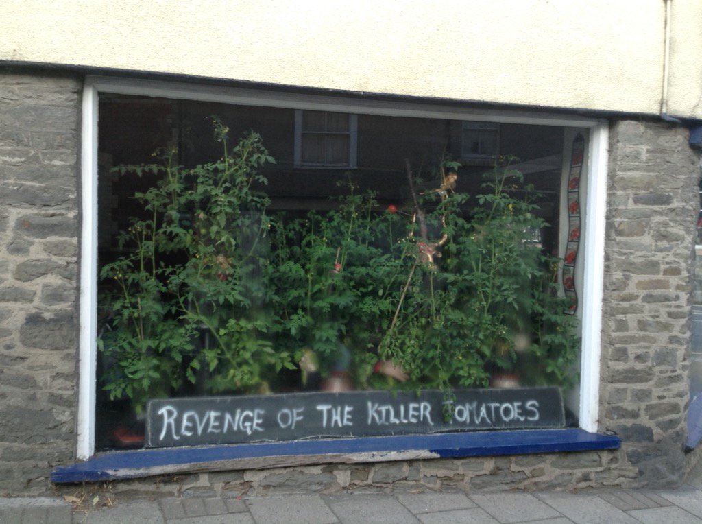 Knighton show and carnival window dressing winner