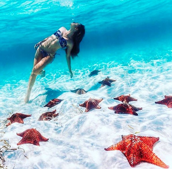 Slimmables's tweet photo. Be a star in someone's ocean today! #Slimmables https://t.co/4n2RHfN1hj