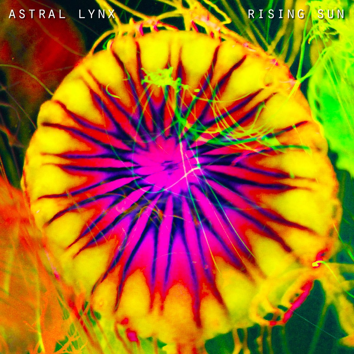 RISING SUN - new single out Thu 1 Sept - feat. b-sides &amp; Flash Gordon live at Brick Lane Psych Fest <a href="/BrickLanePsych/">Brick Lane PsychFest</a>