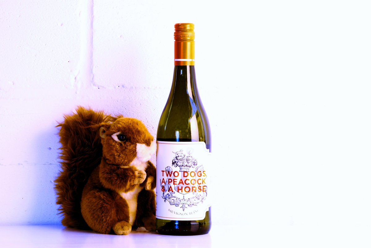 RedSquirrelWine's tweet photo. Fresh off boat from the Cape: Two Dogs, A Peacock &amp; A Horse Sauvignon Blanc by @BEVintners https://t.co/QgsS2SeYcr https://t.co/ls8lE2ncvT