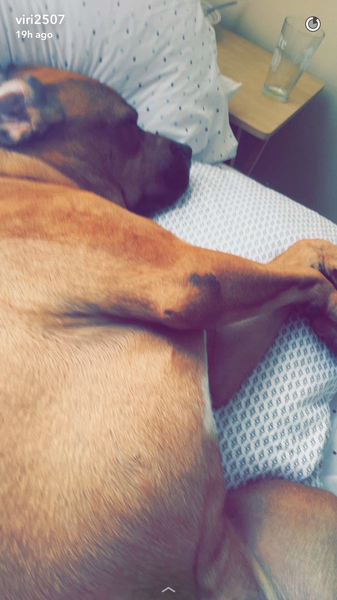 may12_96's tweet photo. Baby boy 🐾❤️ https://t.co/wWXlxMhzFx
