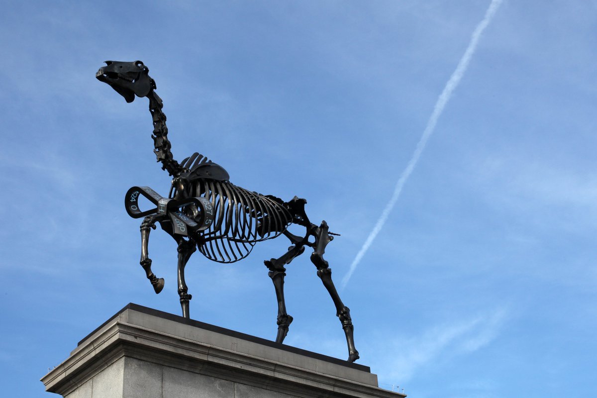 LDN_gov's tweet image. Last chance to see the Gift Horse before the new commission is unveiled. Visit the #fourthplinth this weekend!