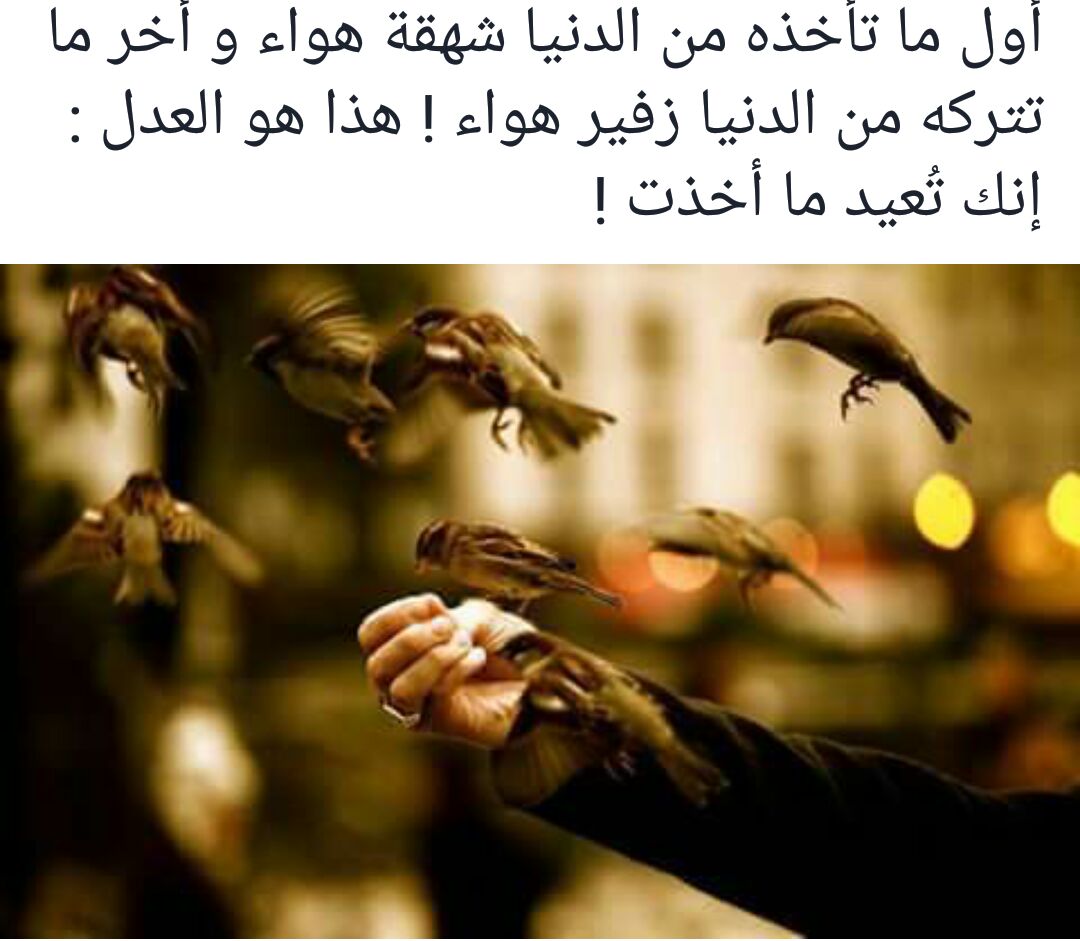 ⛧ummariam  ⛥ (@sheroofnajjar) on Twitter photo 