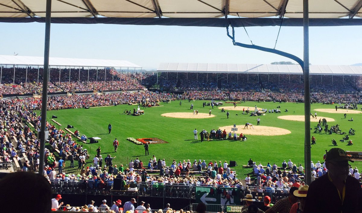 paddykaeser's tweet photo. tradition. sport. heimat. 🇨🇭 #esaf #srfschwingen @estavayer2016 @srfsport https://t.co/Eb2abthGFC