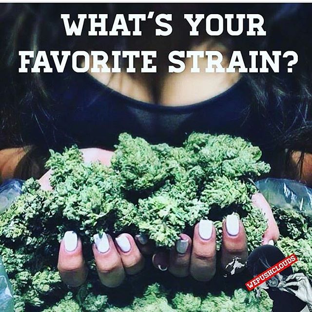 HeadShop Smokewire (@smokewire) on Twitter photo 