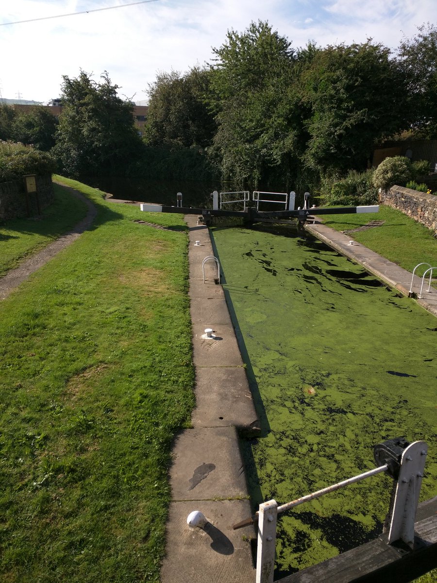 Lovely towpath trundle along the Huddersfield Broad this morning :)