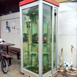 ちょｗこれ何!？電話ボックスや自動販売機、テーブルの中まで金魚が泳いでる郡山市はすごい街だった!
