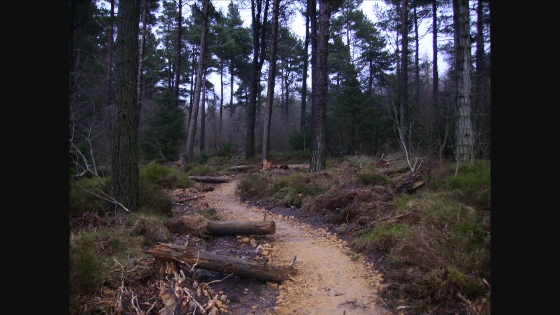 Who's going for a ride today? #mtb #mountainbike #singletrack #forest