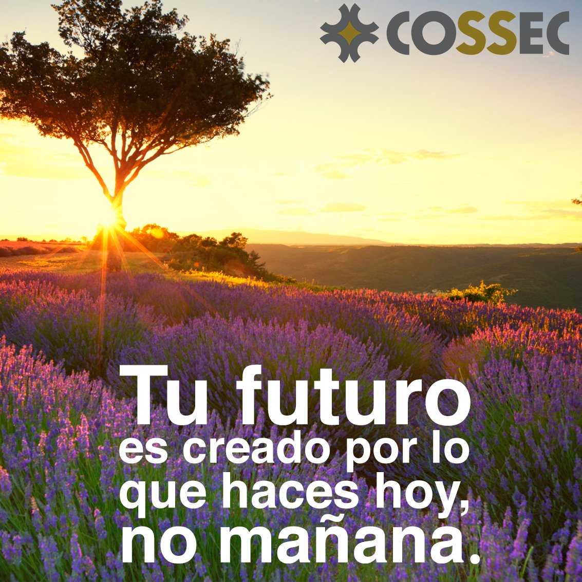 ¡Buen día!
Nunca lo olvides.
#Motivación