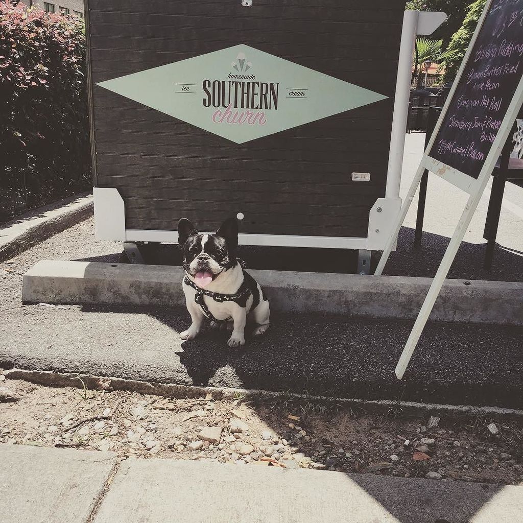 SouthernChurn's tweet photo. #Southernchurn is back on the corner today slinging ice cream y'all. Today's menu: #cinnam… https://t.co/iRP3QYiIsA https://t.co/FaJzQBJ15K