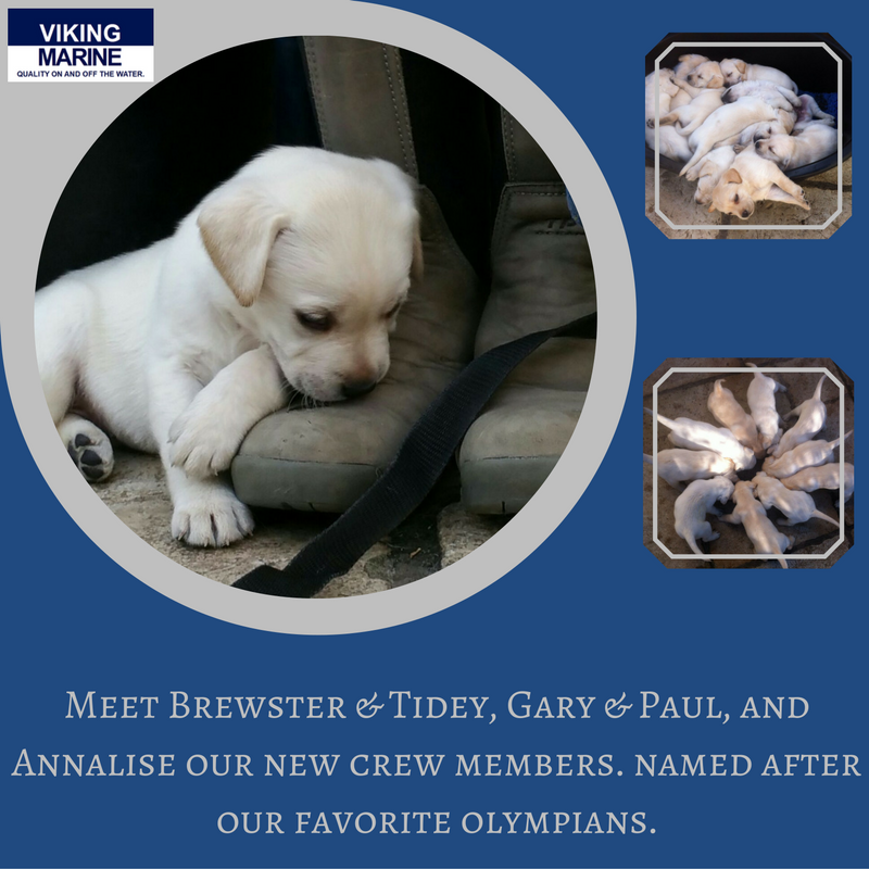 Viking Marine tweet media