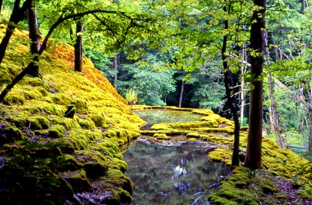 dichtbijverweg's tweet image. #Fietstips:#fietsreis in de #FranseMaasvallei &amp;amp; in de #HauteMarne: goo.gl/mTyPih &amp;amp; goo.gl/hKAiv5