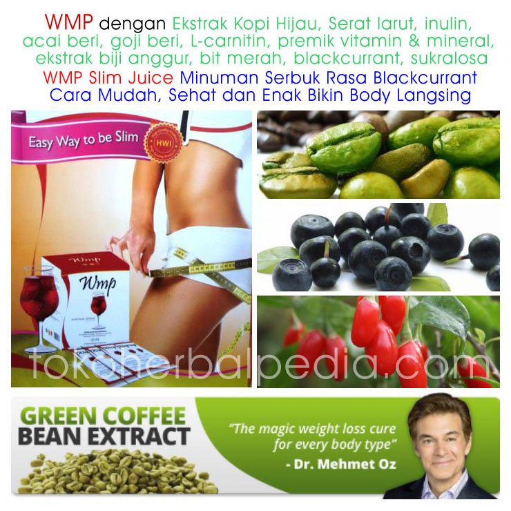 WMP Pelangsing yang aman dan enak ga bikin neg rasa blackcurrant, info order klik 
tokoherbalpedia.com/wmp-cara-diet-…
#wmphwi