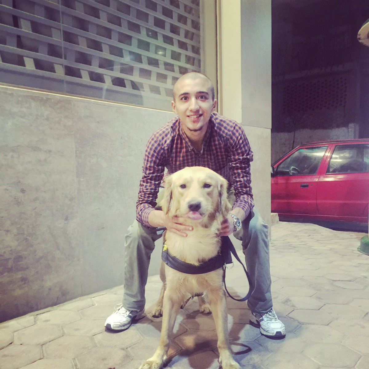 Ahmubarak11's tweet photo. #dog_❤️ https://t.co/v6fKbYbh8W