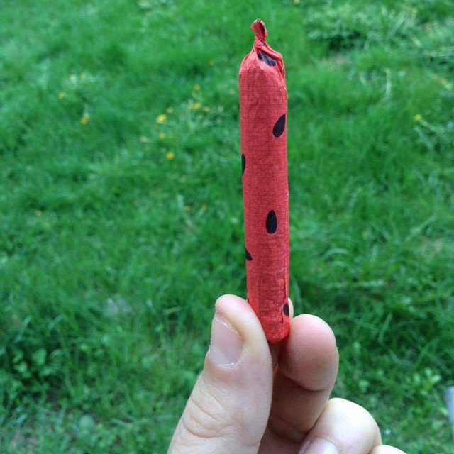 Met lil kid today lol and he happened to smoke pot too and whipped this thing out and I was so jelous lmao