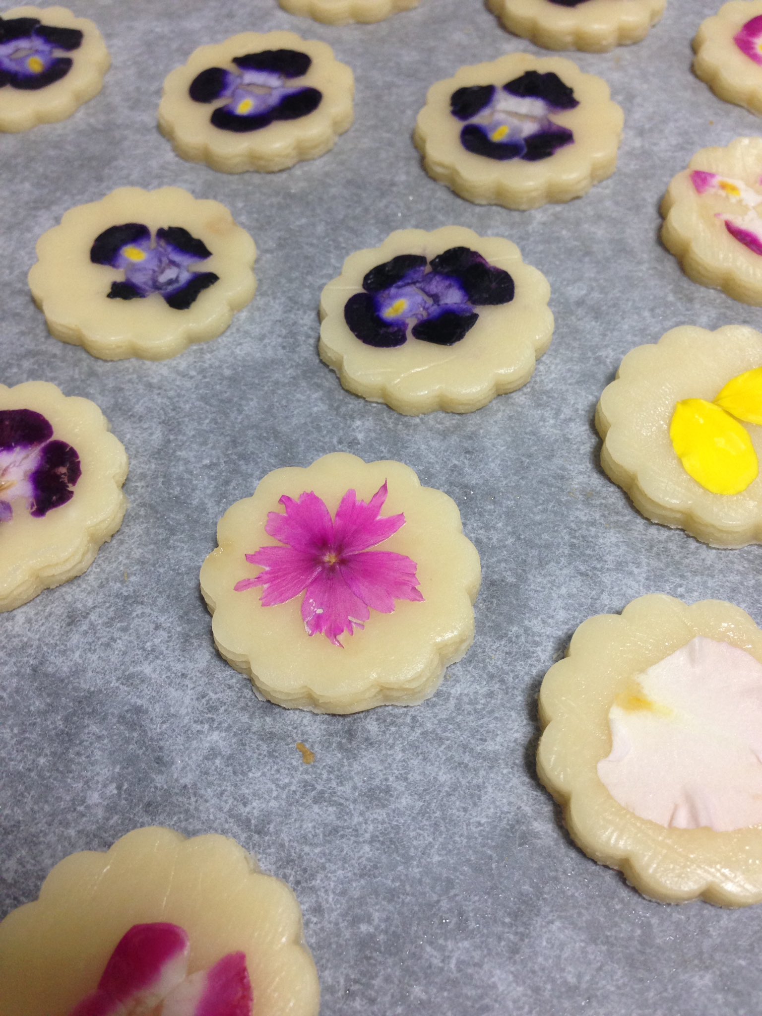 甘々 Sweets 今日はお菓子作りの日 2つ目は押し花クッキー 卵 バター不使用 ココナッツオイルで お菓子 お菓子作り好きな人と繋がりたい クッキー エディブルフラワー T Co Zzra4q9sbw Twitter