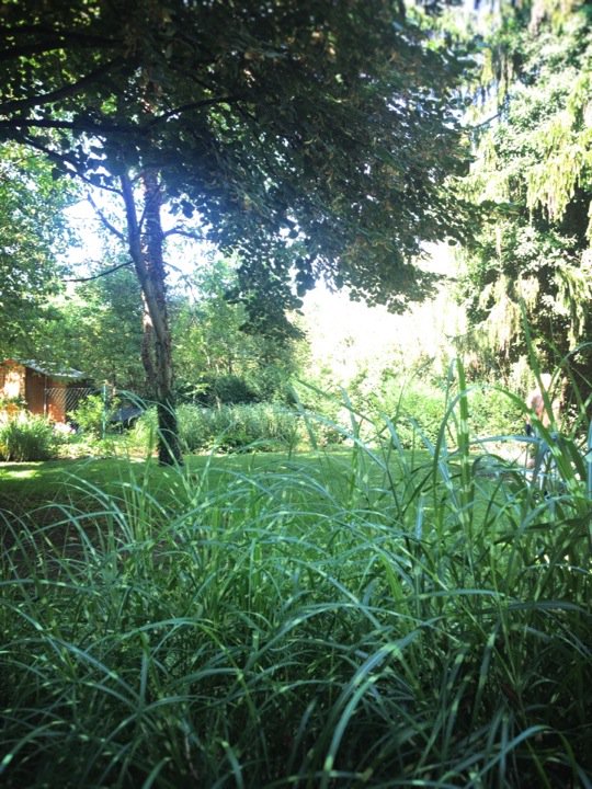 pc_ass's tweet photo. Wetter ✔️
Location ✔️
Happy Brautpaar ✔️
Dann kanns ja losgehen \o/
#Fotoassistent https://t.co/xYDqfJ51lz