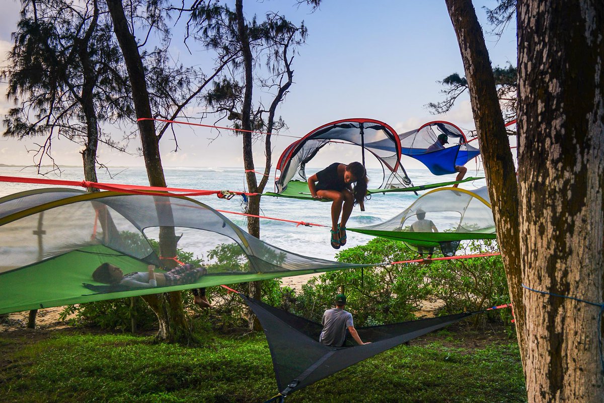 Discover #tentsile #tree #tents at minimalhome.com a #new #british #innovation ow.ly/YrikR