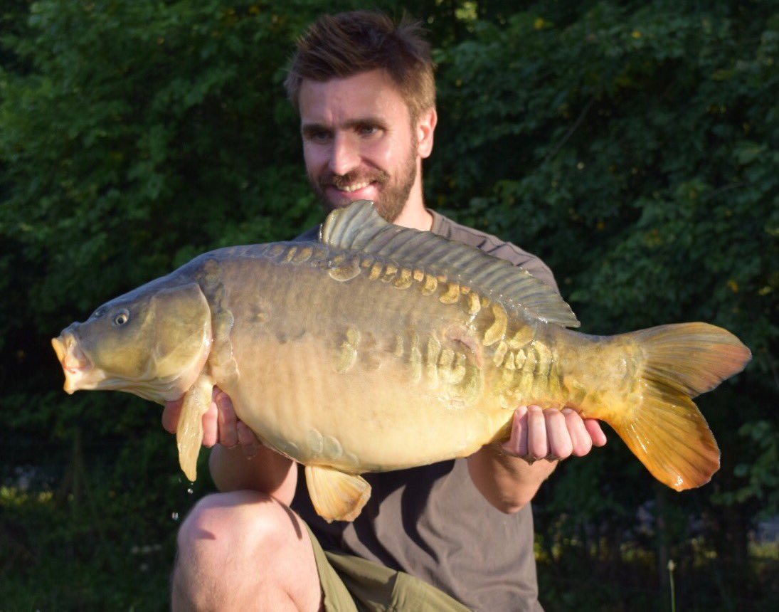 3 lovely fish from late yesterday afternoon in quick succession before they did the off.
