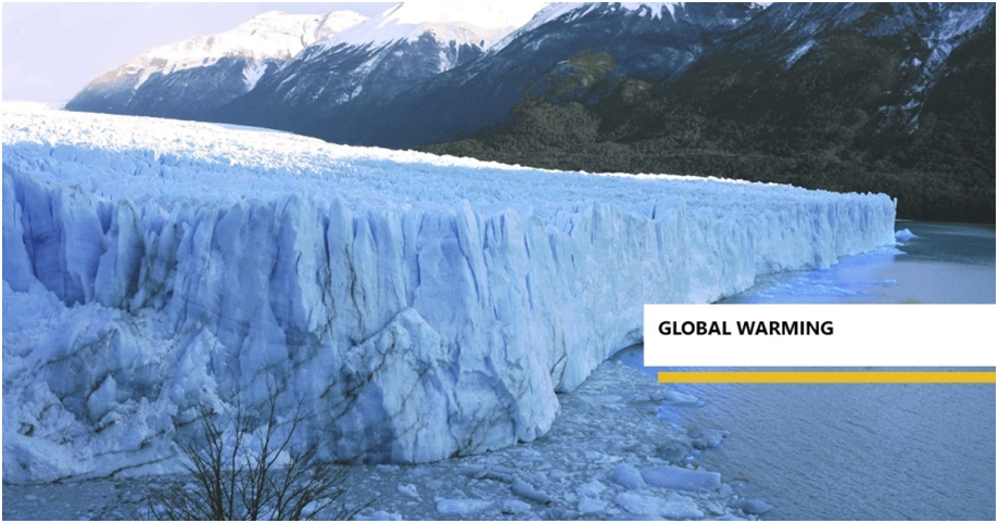 Global Warming And Its Effects On Our Ecosystem
#GorillaFan #GlobalWarming
bit.ly/2bFt5y7