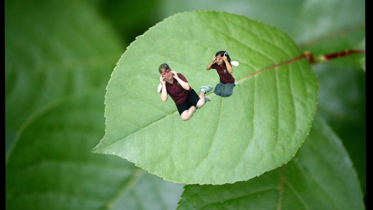 Mrs. Ehrenclou tweet media