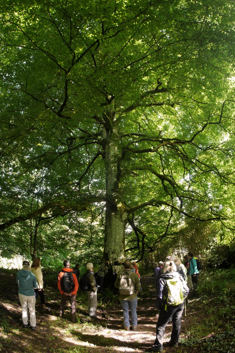 We walked in the footsteps of Irish botanist #EllenHutchins this #HeritageWeek in #Cork. Where did you get to?