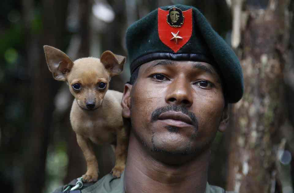 Las 20 fotografías de la semana con fotógrafos de #AFP |TheGuardian theguardian.com/artanddesign/g…