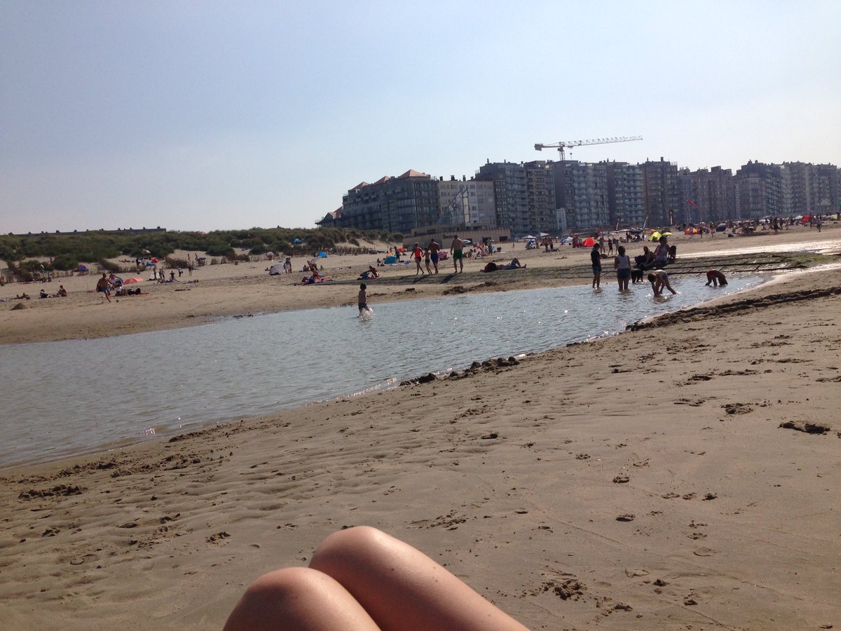 Kristof Herpelinckx tweet media