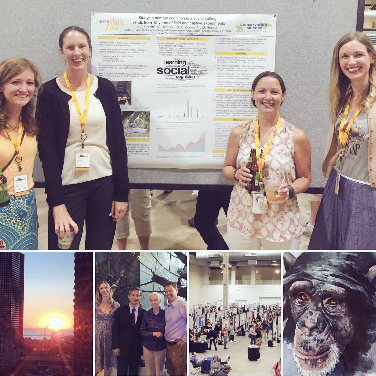 LydiaMHopper's tweet photo. After 10 days of ace primatology surrounded by friends this w/end is going to feel a tad quiet #chimpsymp #ipsasp16 https://t.co/ssWAOs1eLg