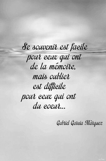 Transporteurmmm Brousse Twitter