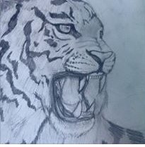 NeonAngel8096's tweet photo. @ssjkoma animal drawings :)) https://t.co/1fDeCBBgRk
