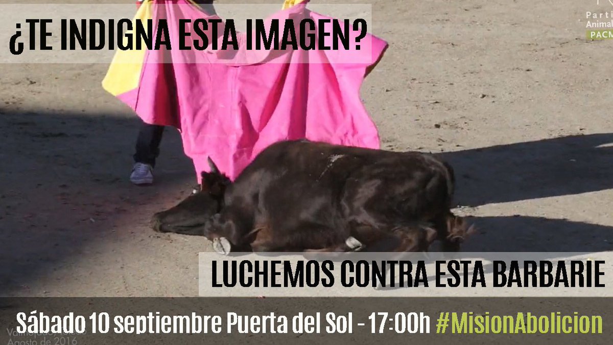 PartidoPACMA's tweet photo. Las imágenes de la vergüenza que están dando la vuelta al mundo. Tenemos una misión: la ABOLICIÓN #MisionAbolicion https://t.co/HyYhfS8nL8