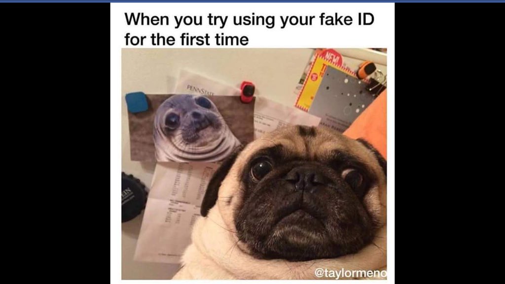 WVUPartySchool's tweet image. Come on freshman! #worstidever @FatDaddysWV #under21problems @JoeMamasMotown