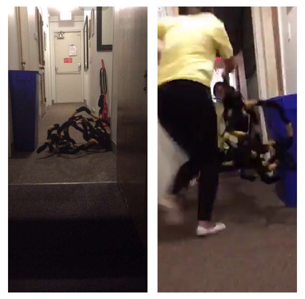 Tits4Tonys's tweet photo. BREAKING: Video and picture evidence confirm that the spider is currently at @IowaAlphaPhi #FreeTheSpider https://t.co/JDBFcOKVMw